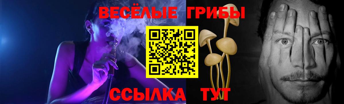 купить наркоту  Псилоцибиновые грибы мухоморы  Вход с VPN  Ейск  Псилоцибиновые грибы Psilocybe 
